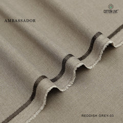 AMBASSADOR